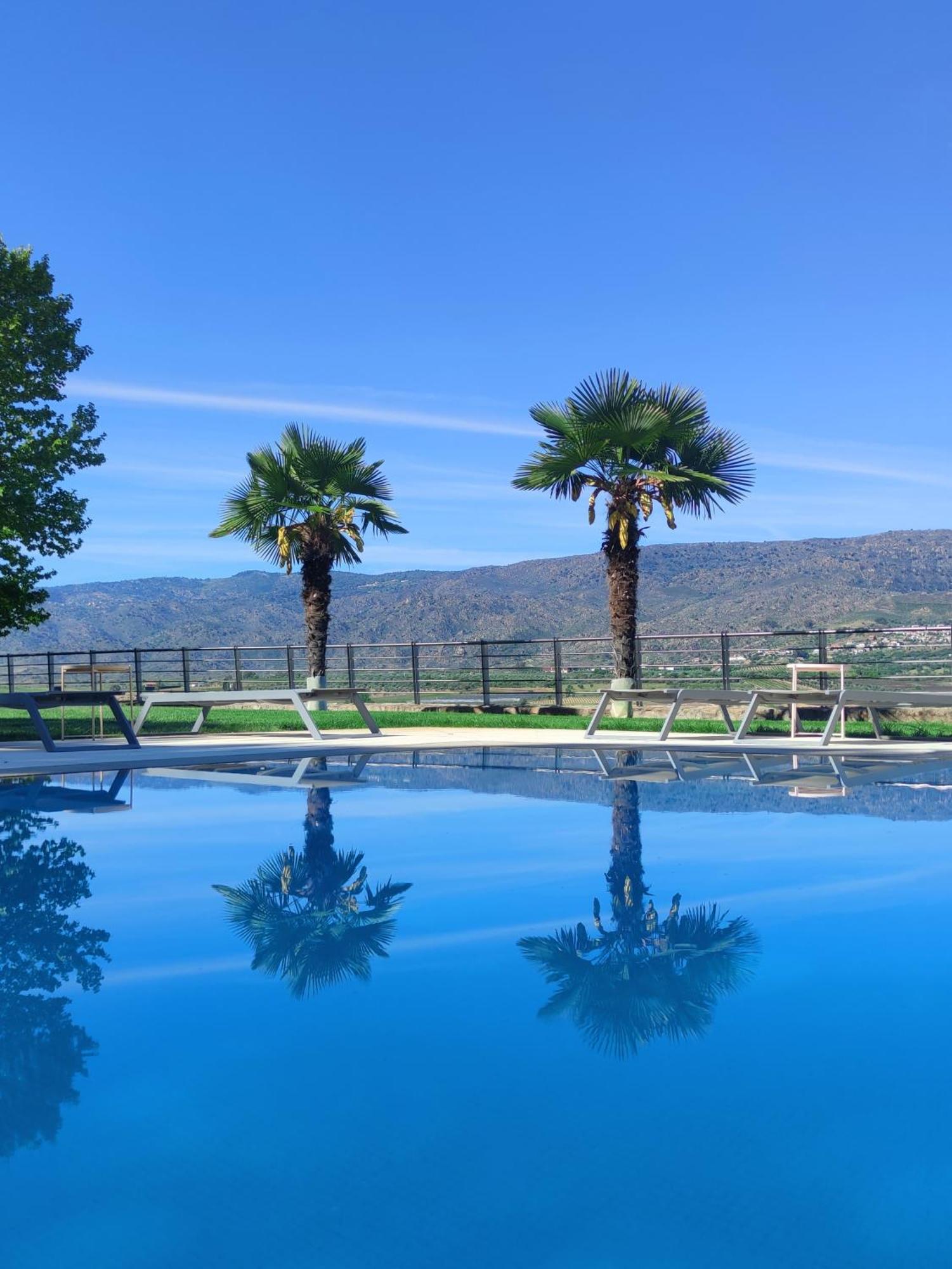 Quinta Da Terrincha Konuk evi Torre De Moncorvo Dış mekan fotoğraf