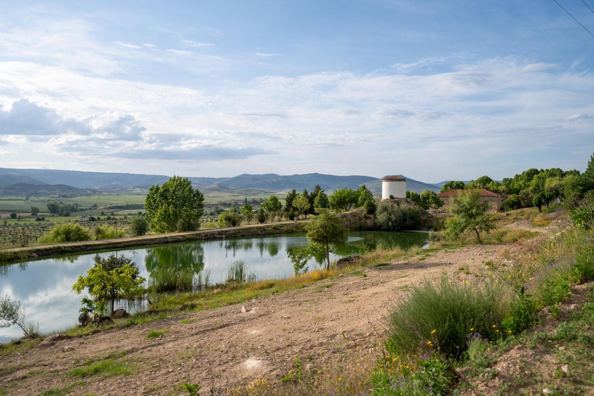 Quinta Da Terrincha Konuk evi Torre De Moncorvo Dış mekan fotoğraf