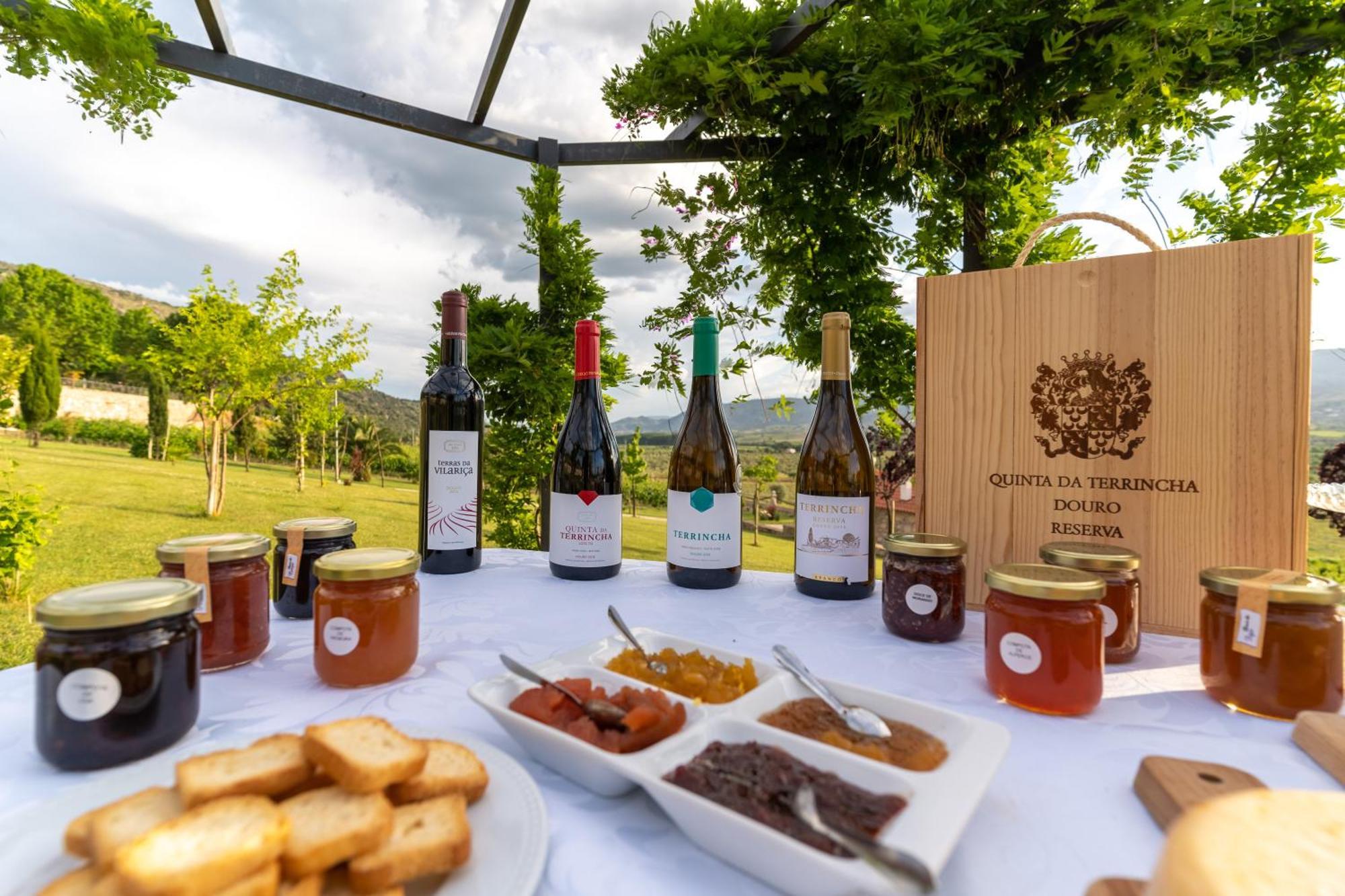 Quinta Da Terrincha Konuk evi Torre De Moncorvo Dış mekan fotoğraf