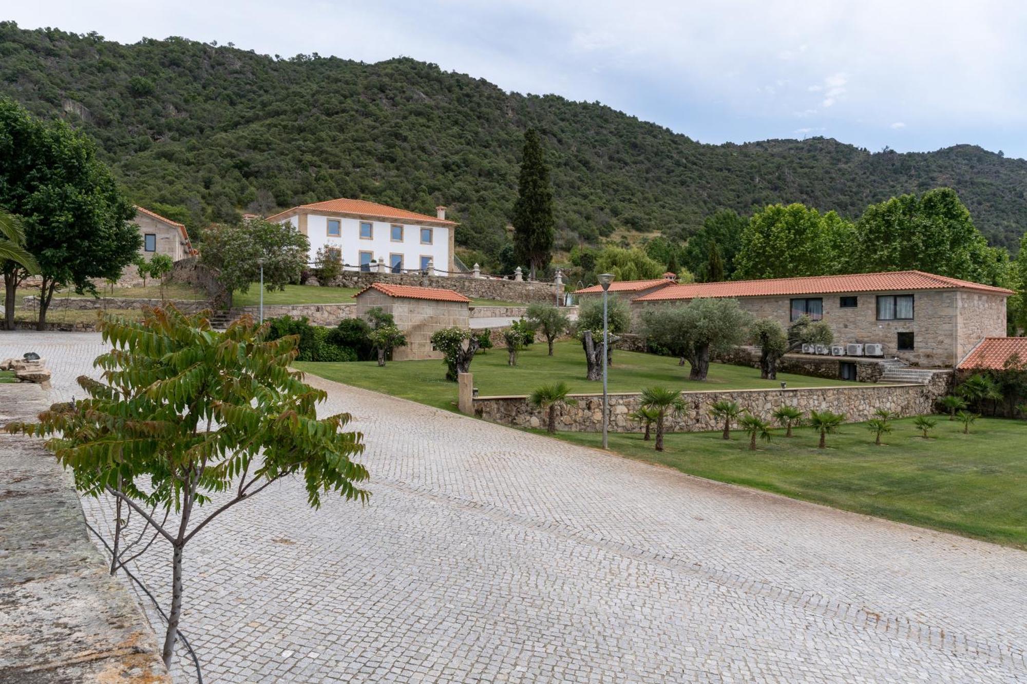 Quinta Da Terrincha Konuk evi Torre De Moncorvo Dış mekan fotoğraf