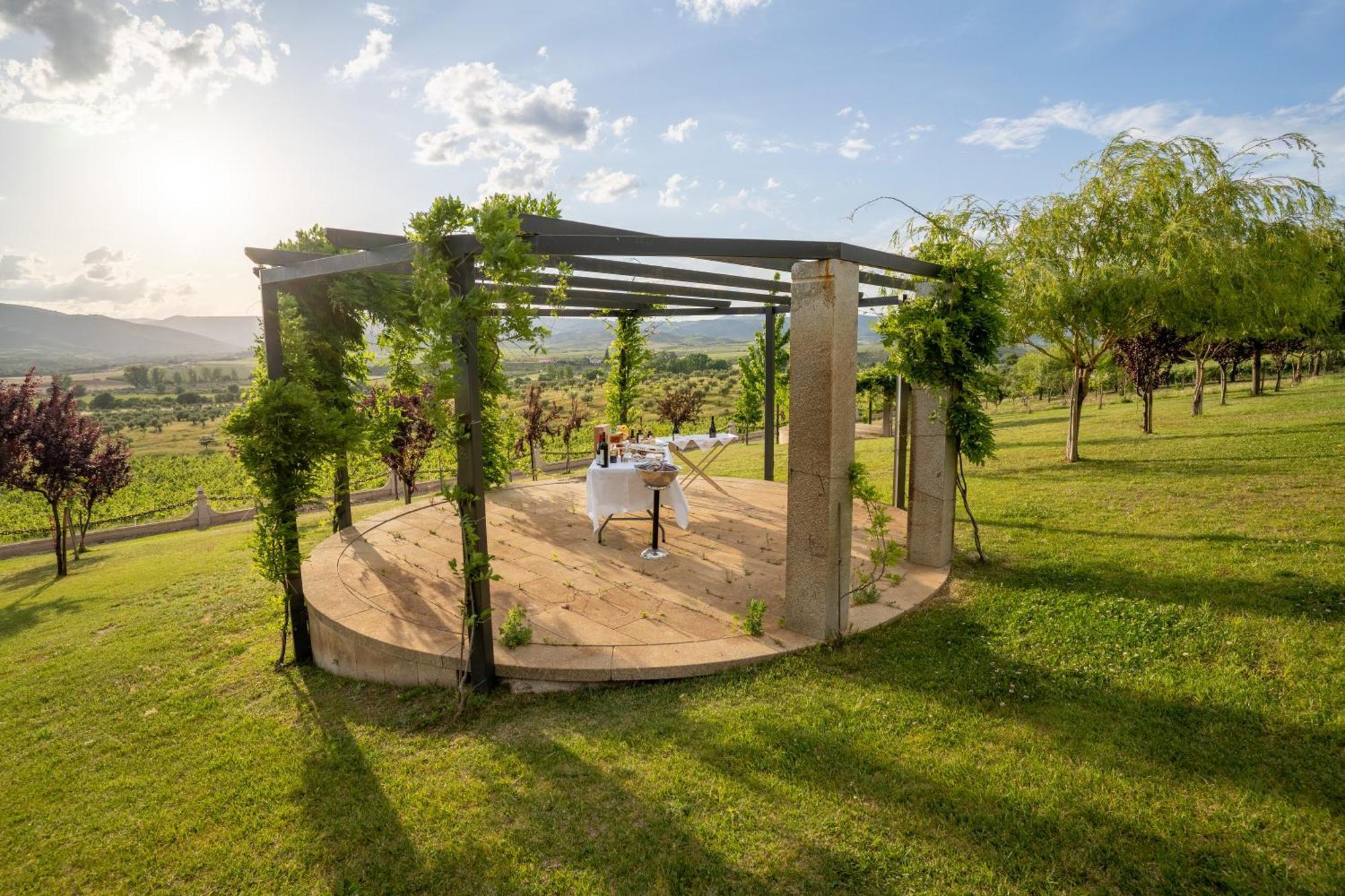 Quinta Da Terrincha Konuk evi Torre De Moncorvo Dış mekan fotoğraf