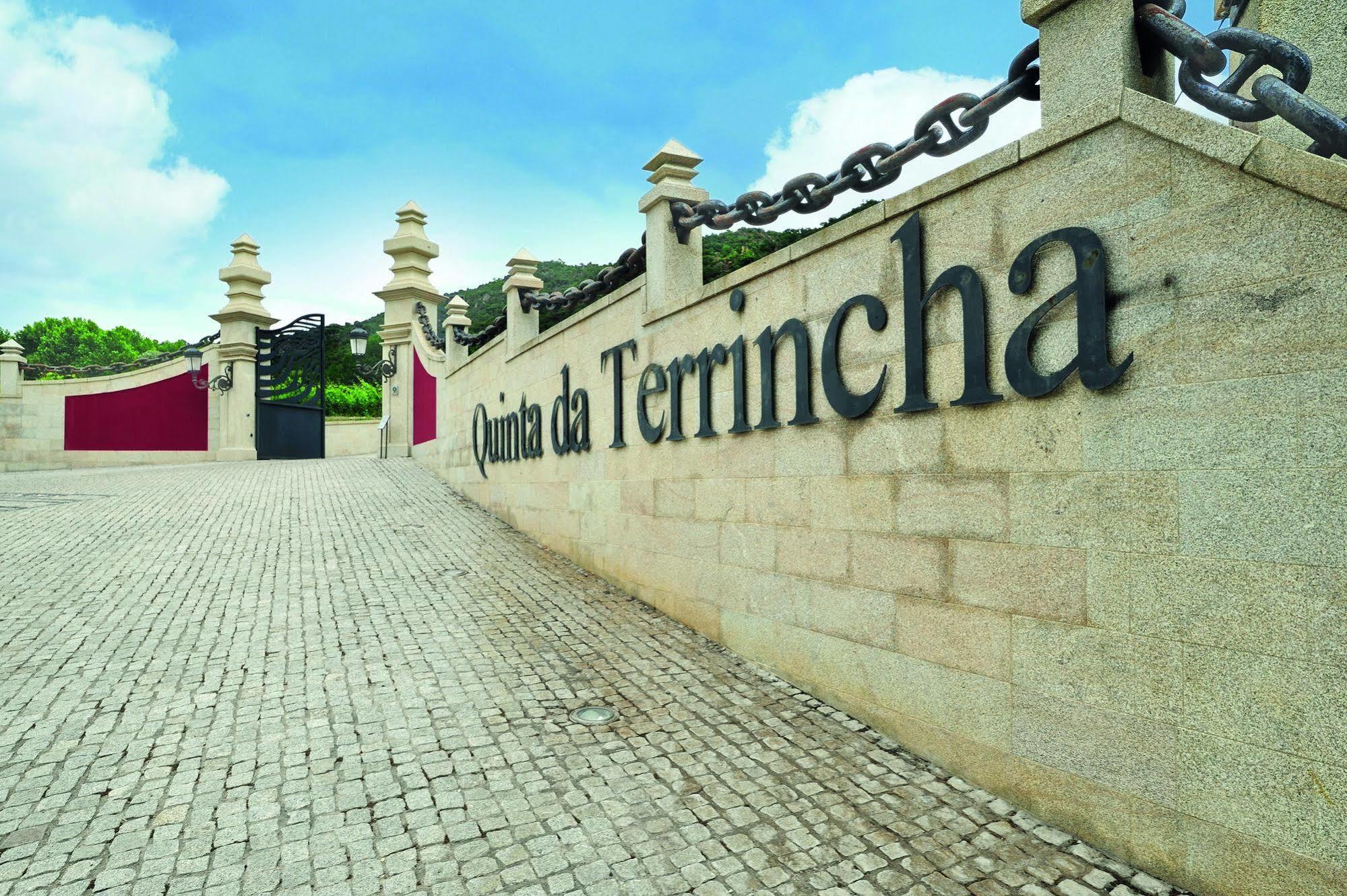 Quinta Da Terrincha Konuk evi Torre De Moncorvo Dış mekan fotoğraf